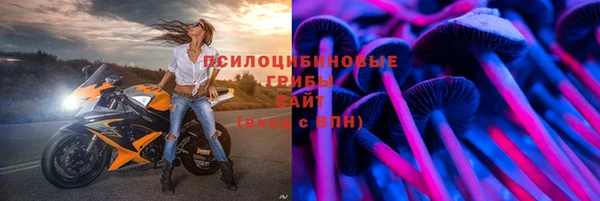 герыч Алзамай
