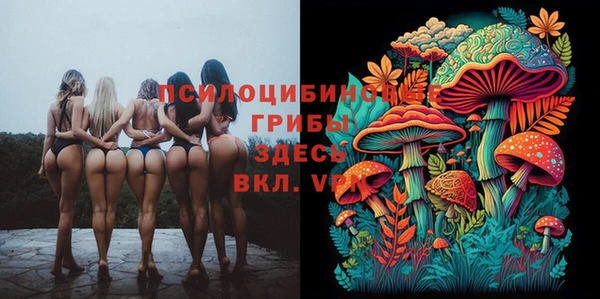 Альфа ПВП Алексин