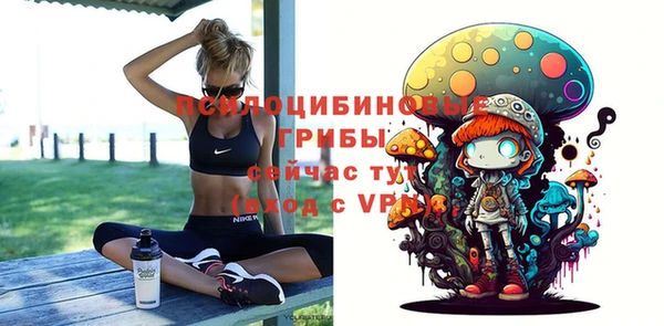 Альфа ПВП Алексин